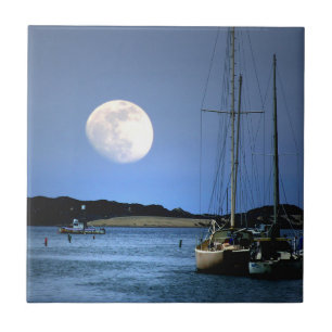 Moonlight Harbour Art Tile