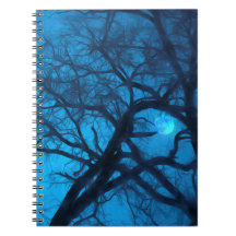 Moonlight Journal (80 Pages B&W)