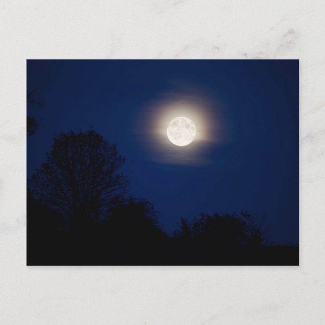 moonlight landscape postcard (Front)