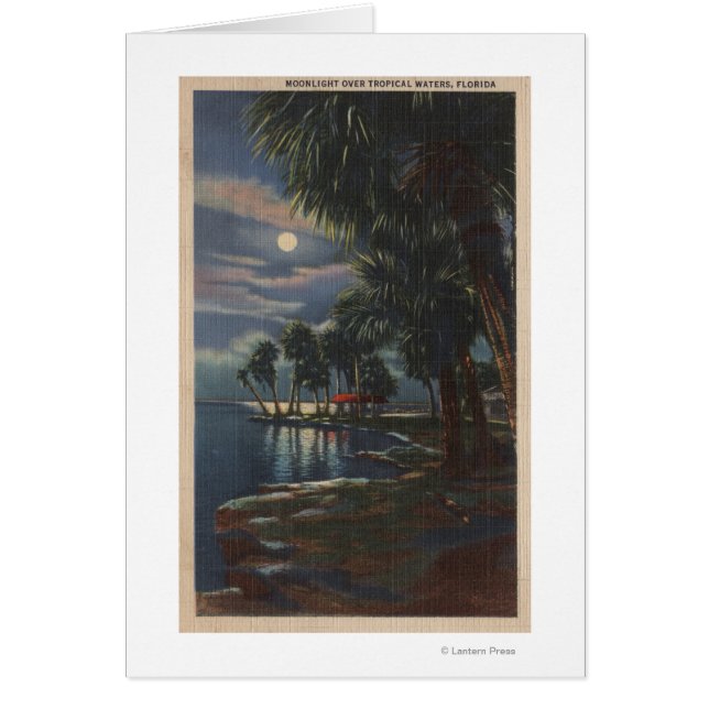 Moonlight on a Florida BeachFlorida (Front)