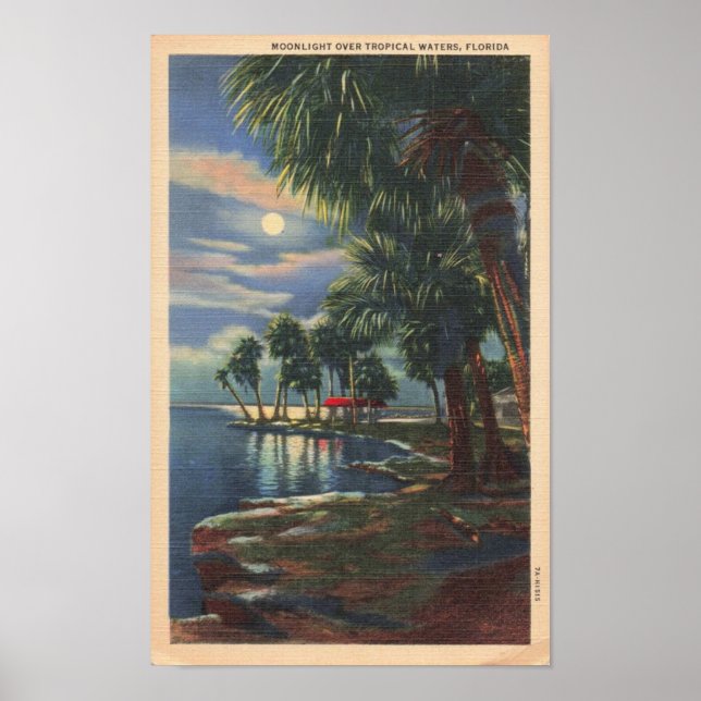 Moonlight Over Florida Tropical Waters Poster (Front)