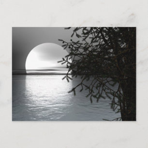 Moonlight Over the Water Postcard