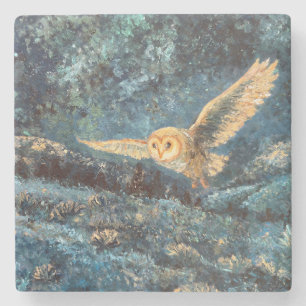 Moonlight Owl: Barn Owl in Starry Moonlit Meadow Stone Coaster
