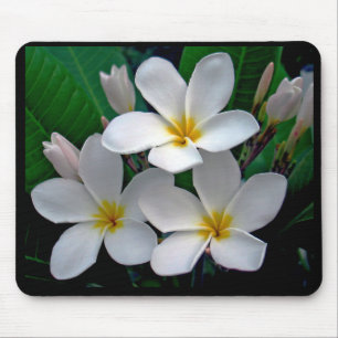 Moonlight Plumeria Mousepad