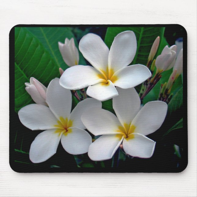 Moonlight Plumeria Mousepad (Front)