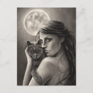 Moonlight Postcard