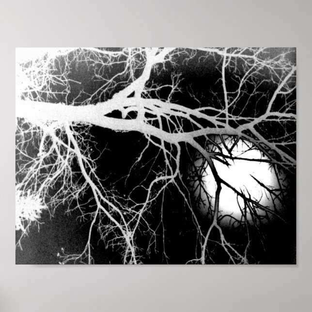 Moonlight Poster (Front)