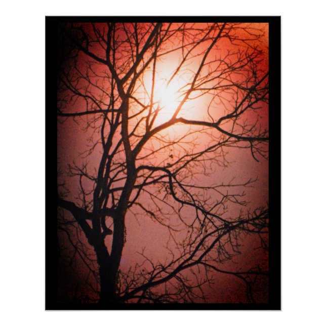 Moonlight Poster (Front)