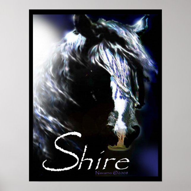 MOONLIGHT SHIRE Poster (Front)