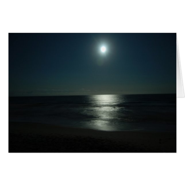 Moonlight Sun (Front Horizontal)