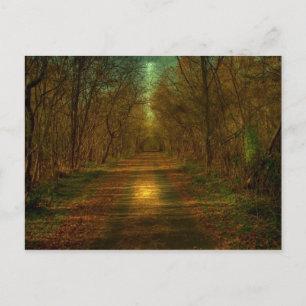 moonlight walk Lynchburg City Trails Postcard