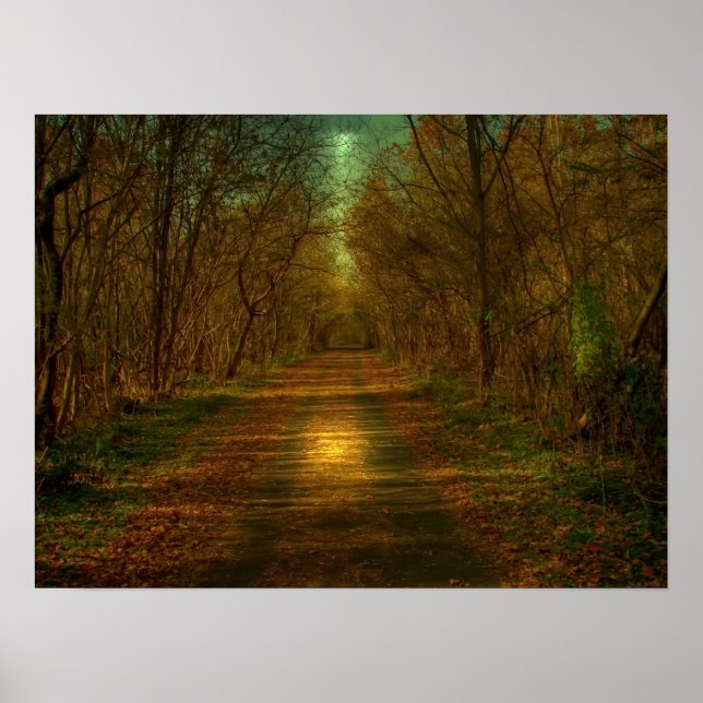 moonlight walk poster (Front)