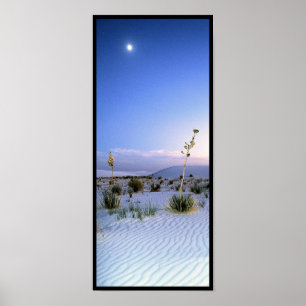 Moonlight Yucca Panorama Poster