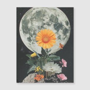 Moonlit Blooms Over Rustic Charm (2)