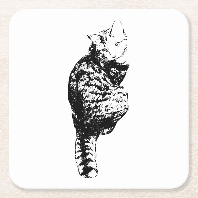 Moonlit Cat Gaze Square Paper Coaster (Front)