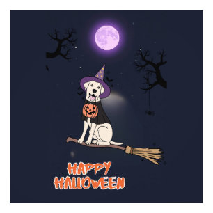 Moonlit Pup – Halloween Dog in Witch Hat Photo Print