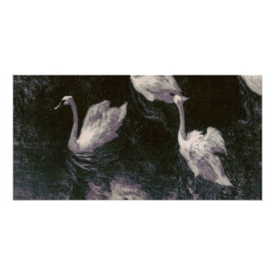 Moonlit Swan Lake Poster
