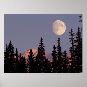 Moonrise Early Winter Anchorage, Alaska Poster