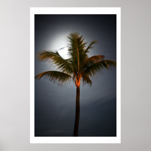 Moonrise on Palm Poster