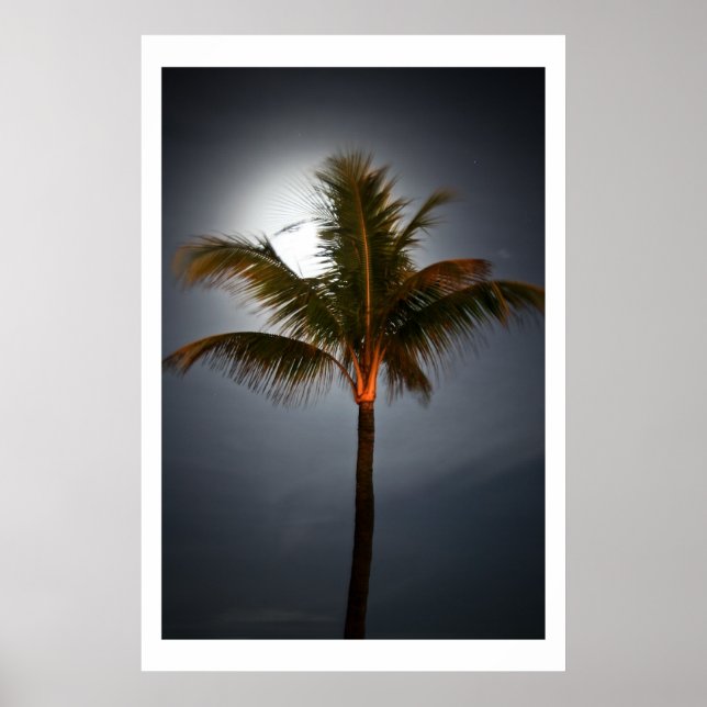 Moonrise on Palm Poster (Front)
