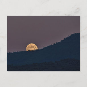 MOONRISE POSTCARD