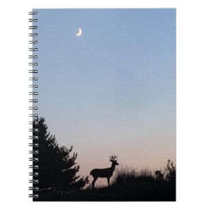 Moonrise Spiral Journal