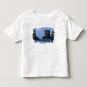 Moonset, Bandon Beach, Oregon. Toddler T-Shirt