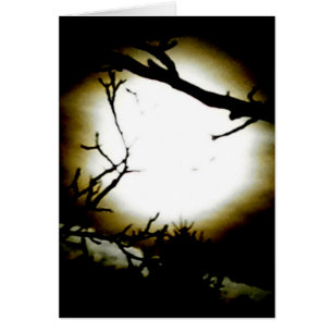 Moonshine