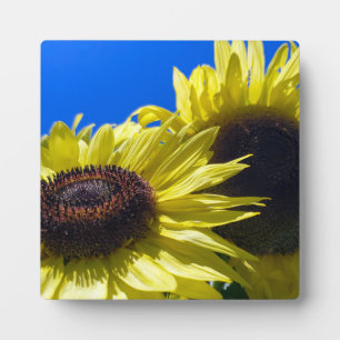 Moonwalker Sunflowers reaching for the sky Plaque