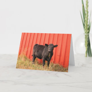 Mooooo Card