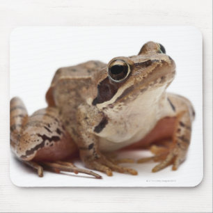 Moor Frog - Rana arvalis Mouse Pad