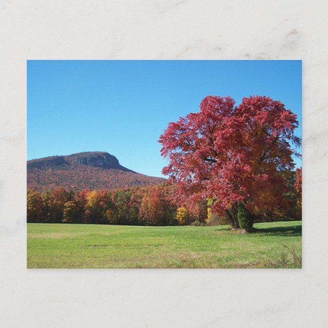 Moore's Knob at Hanging Rock State Park Postcard (Front)
