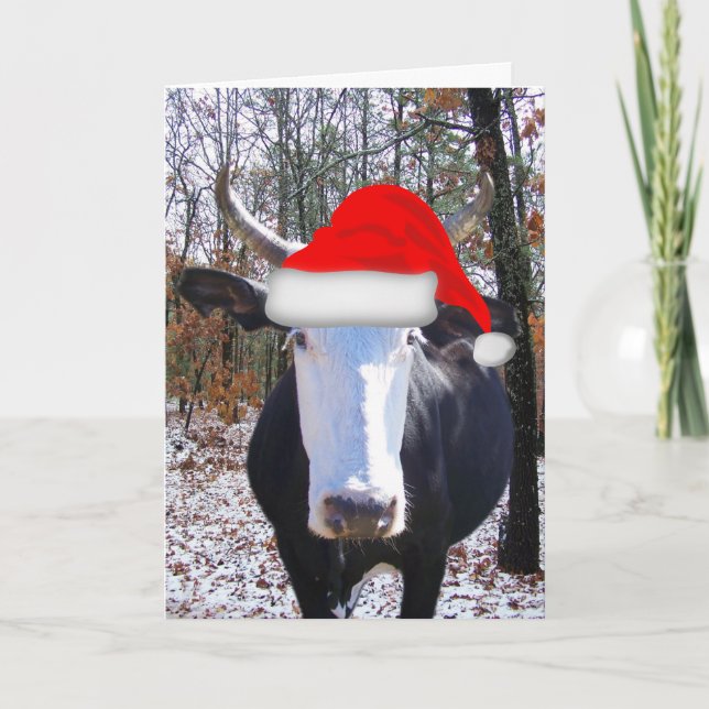 Moorry Christmas from Funny Heifer Cow Card (Front)