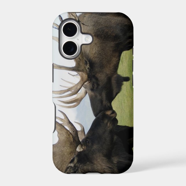 Moose (Back)