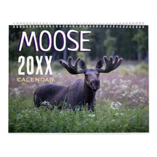 Moose 2027 Wildlife Animals Wall Calendar