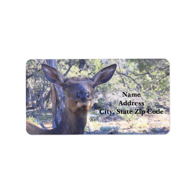 Moose Address Labels (Front)
