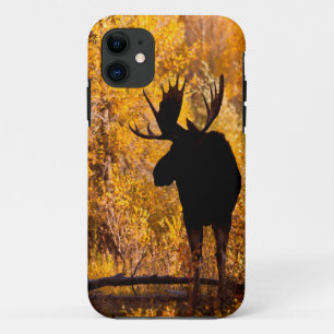 Moose (Alces Alces) Bull In Golden Willows 2 iPhone 11 Case