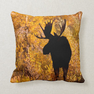 Moose (Alces Alces) Bull In Golden Willows 2 Cushion