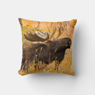 Moose (Alces Alces) Bull In Golden Willows Cushion