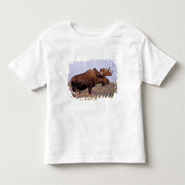 moose, Alces alces, bull with large antlers Toddler T-Shirt (Front)