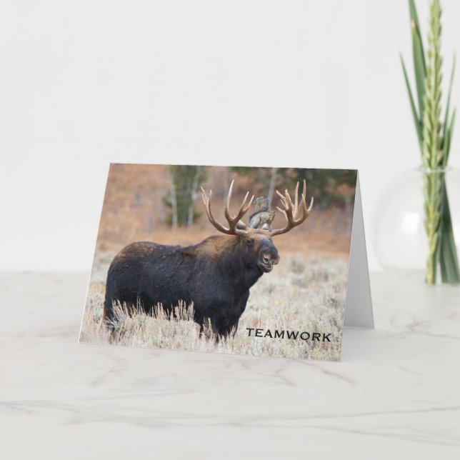 Moose and Squirrel "TEAMWORK" Greeting Card (Front)