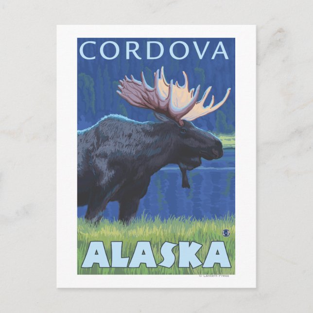 Moose at Night - Cordova, Alaska Postcard (Front)