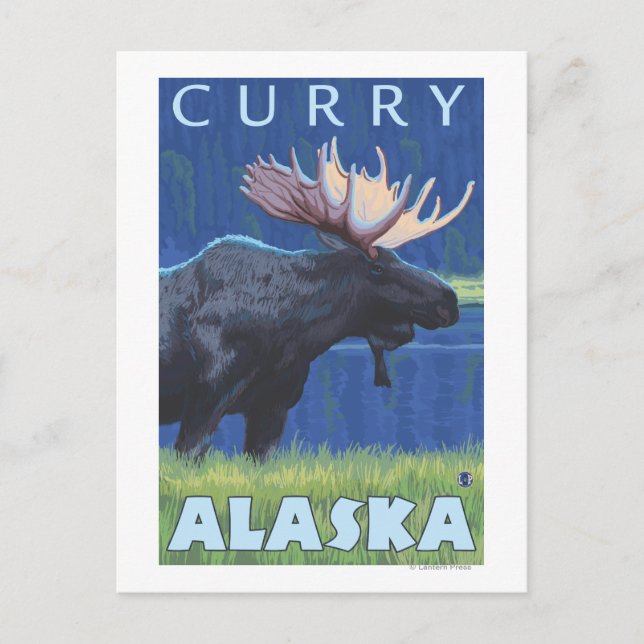 Moose at Night - Curry, Alaska Postcard (Front)