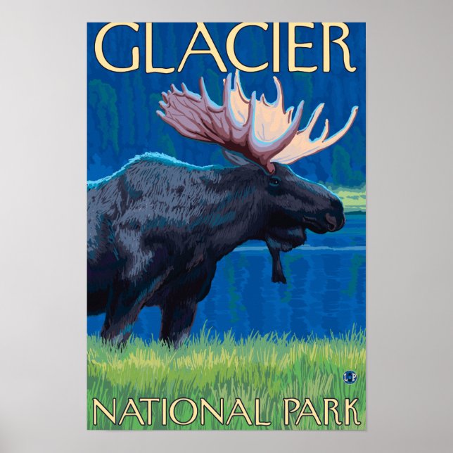 Moose at Night - Glacier National Park, MT Poster (Front)