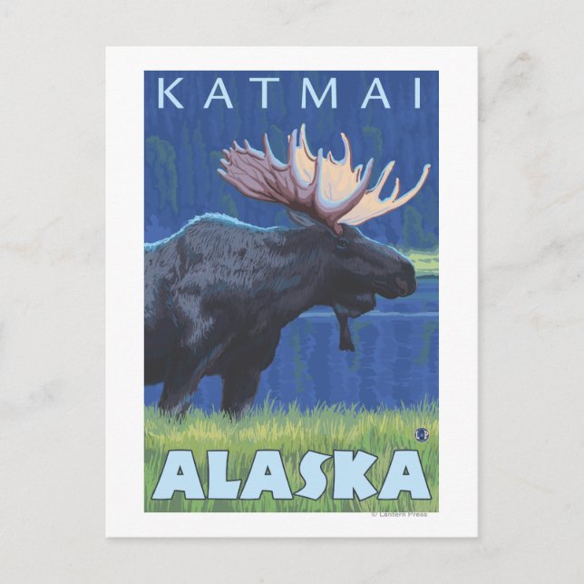 Moose at Night - Katmai, Alaska Postcard (Front)