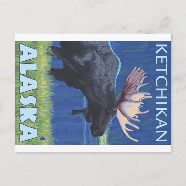 Moose at Night - Ketchikan, Alaska Postcard (Front)