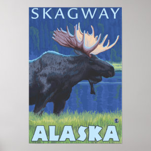 Moose at Night - Skagway, Alaska Poster