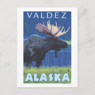 Moose at Night - Valdez, Alaska Postcard