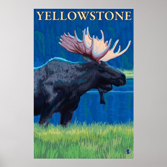 Moose at Night - Yellowstone National Park Poster (Front)