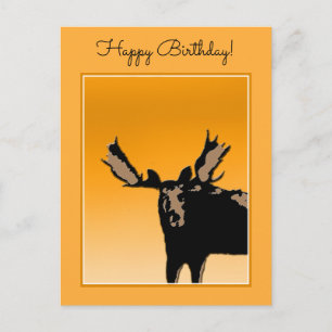 Moose at Sunset  - Original Wildlife Art Postcard